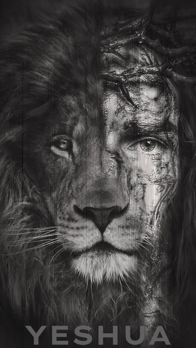 Bible Study - Matthew 9:29